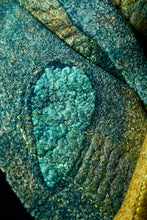 Load image into Gallery viewer, Detail