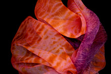 Load image into Gallery viewer, &quot;Holiday!&quot; Arashi Shibori dyed silk organza wrap