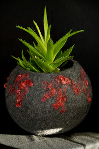 "Vesuvio" vessel